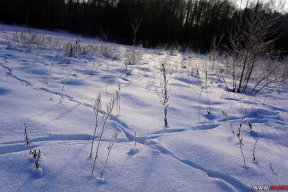 Бодрящая красота зимнего утра