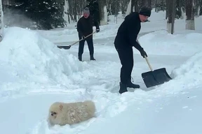 «Истекающий гарант вообще всех победил. У него победа — это непрерывный процесс по типу пищеварения»